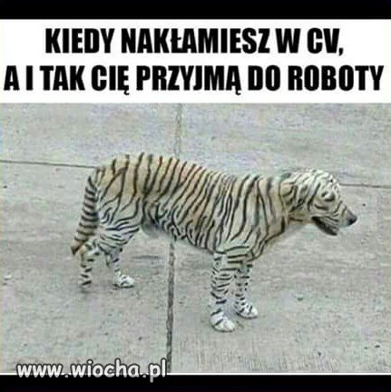 Coś w tym jest.