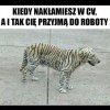 Coś w tym jest.