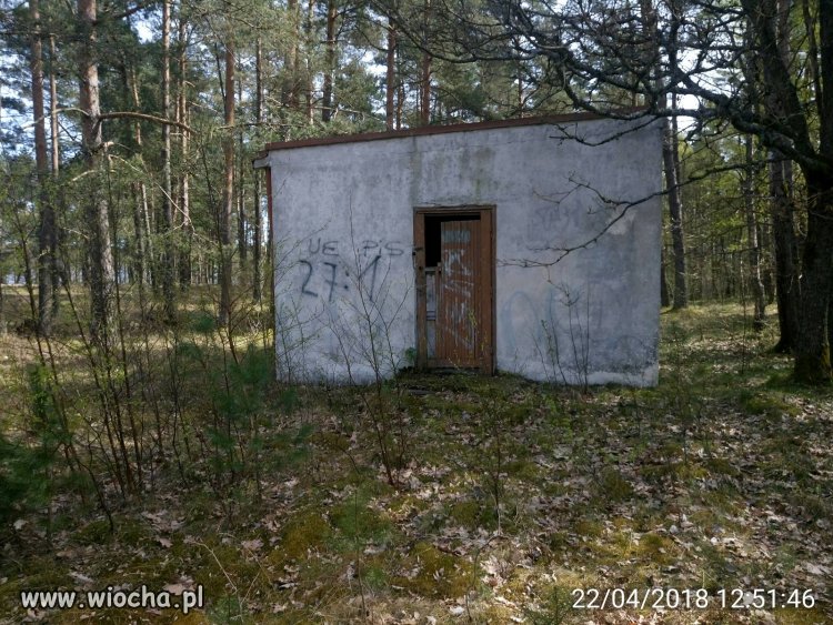 Wieś chyba nie przepada za litościwie panującymi