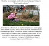 Brawa dla tych rodziców