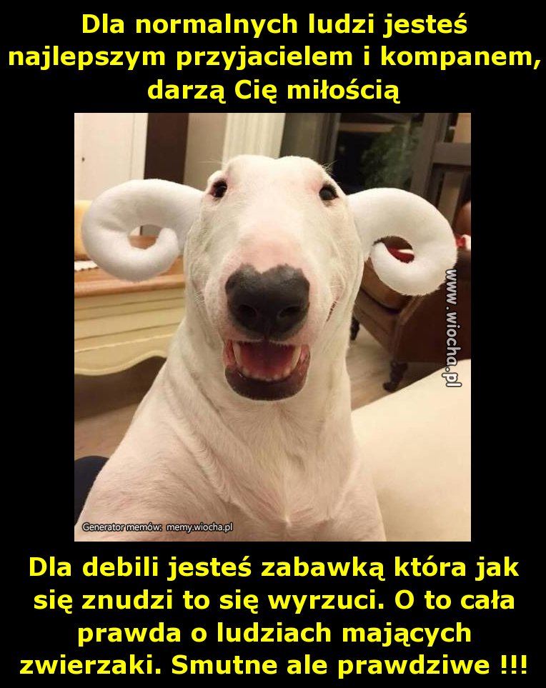 Dla normalnych ludzi jesteś najlepszym