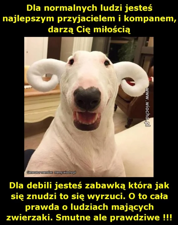 Dla normalnych ludzi jesteś najlepszym