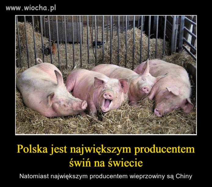 Już ponad 2 lata dzierżymy palmę pierwszeństwa ...