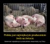 Już ponad 2 lata dzierżymy palmę pierwszeństwa ...