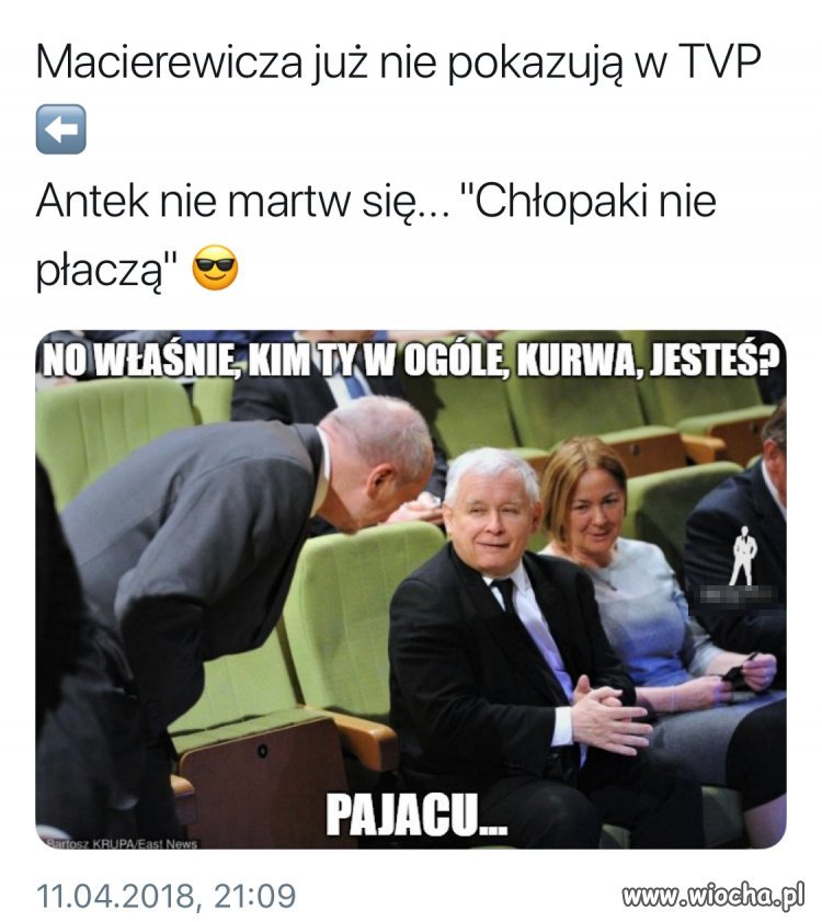 Antek i przyjaciele 