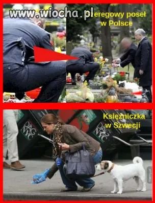 Szeregowy poseł