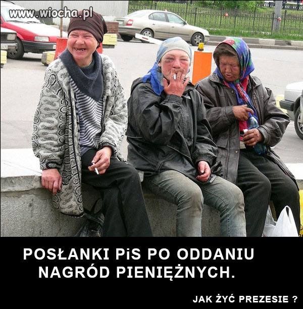 Posłanki pis