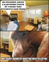 Rachunki