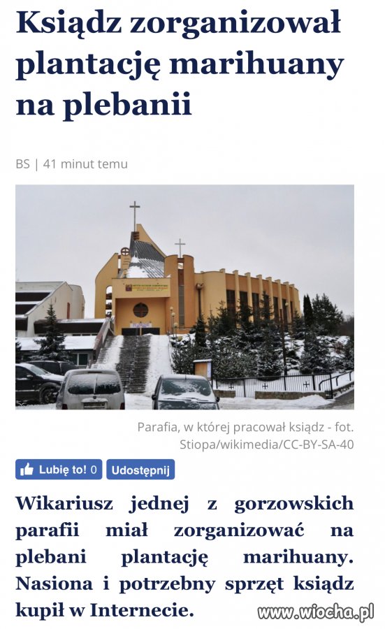 Z cyklu życie na plebani 