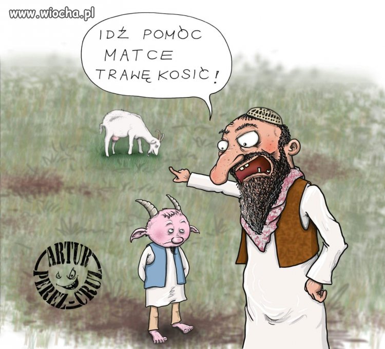 Pomoc 