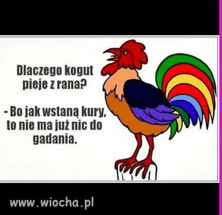Bez urazy...