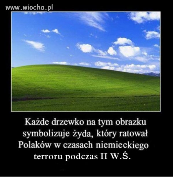 Osobiście ja do nich nic nie mam
