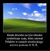 Osobiście ja do nich nic nie mam
