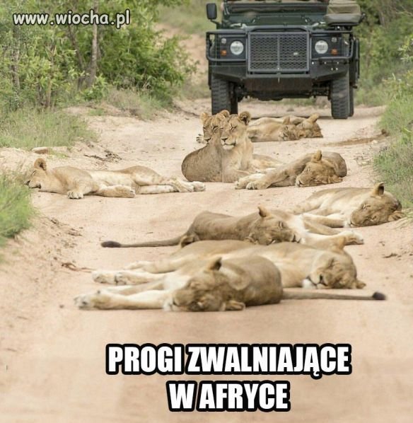 Ekologiczne...