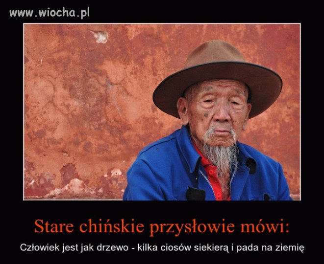 Mądre to przysłowie