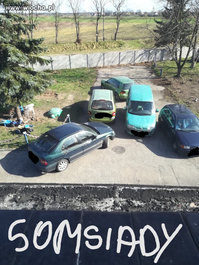 Kochani sąsiedzi 