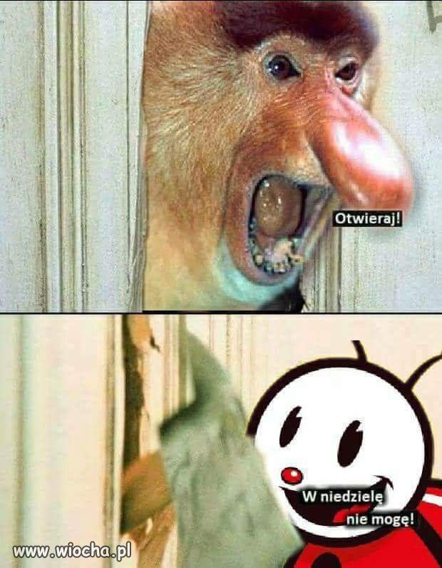 W niedzielę nie mogę