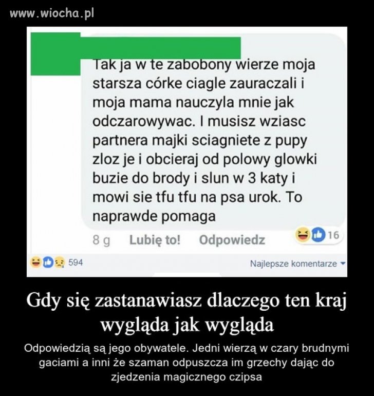 Gdy w sieci natkniesz się na PiSowską ekspertkę od