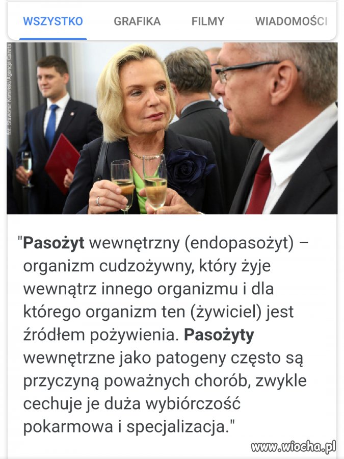 Tymczasem w Wikipedii 