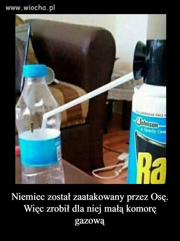 Niektóre nawyki