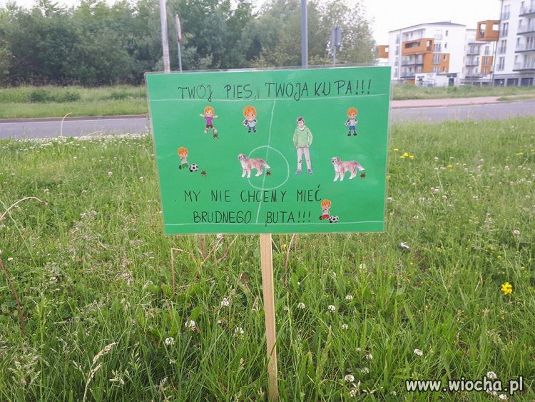 Jasne i proste przesłanie od dzieci