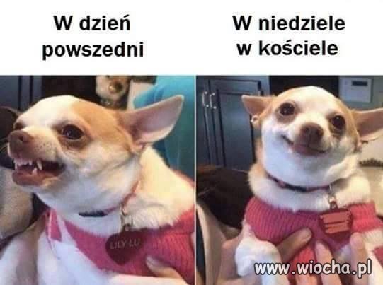 W niedziele