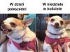 W niedziele