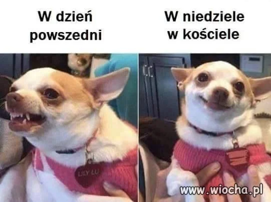 W niedziele