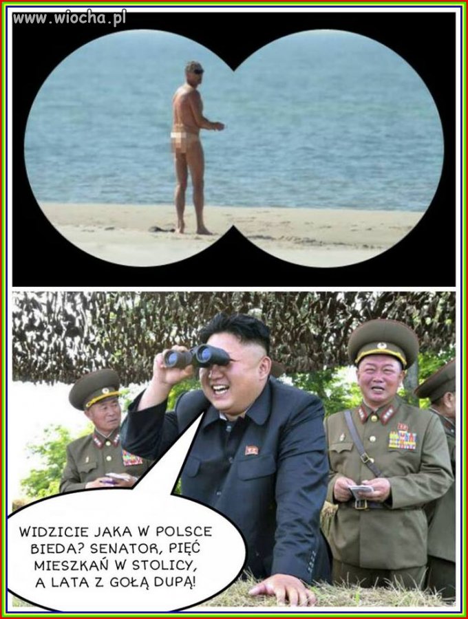 5 mieszkań