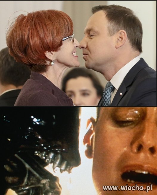 Wśród naczelnych