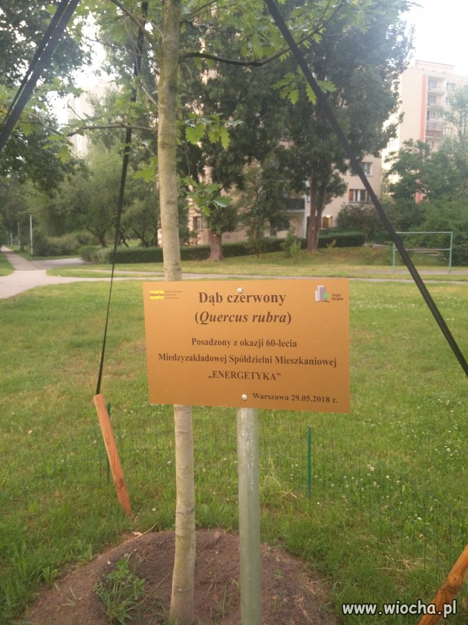 Wybiegli w przyszłość, dziś dopiero 26