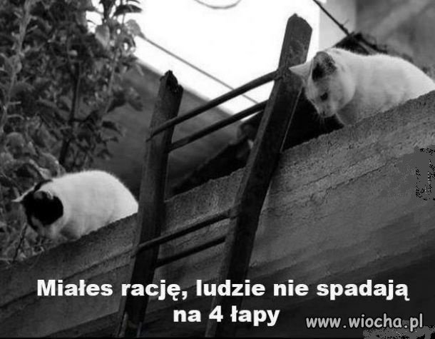 Przynajmniej nie wszyscy.