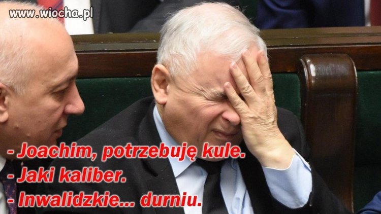 Z cyklu kulki
