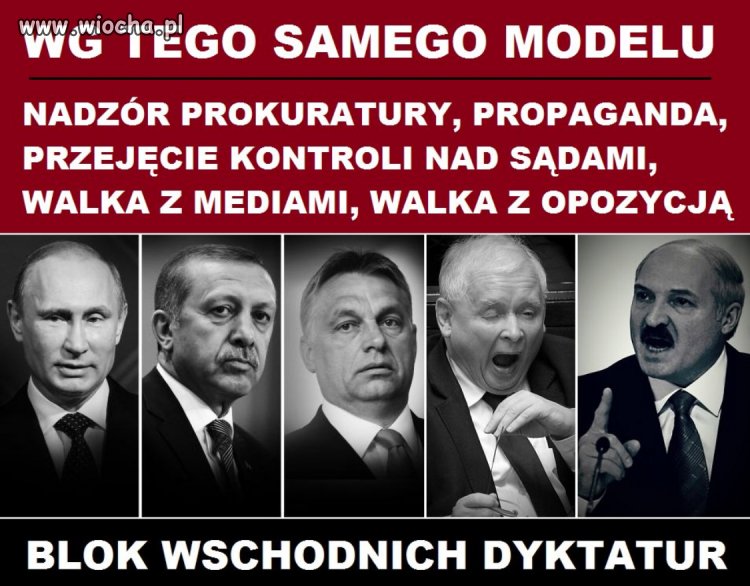 Nie ma to jak być w dobrym towarzystwie 
