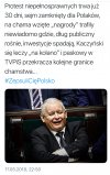 Witamy w Polsce pisu 