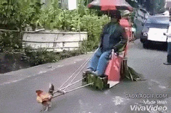 Ha ha ha...