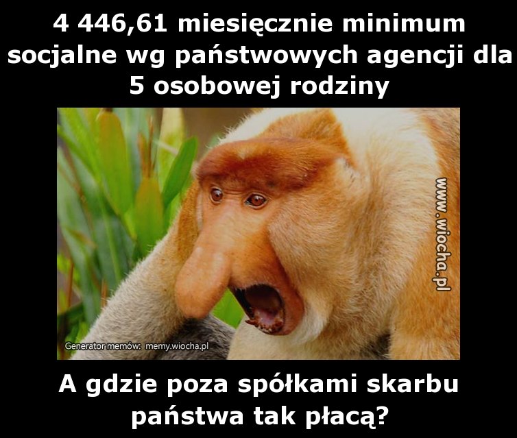 4 446,61 miesięcznie minimum socjalne wg