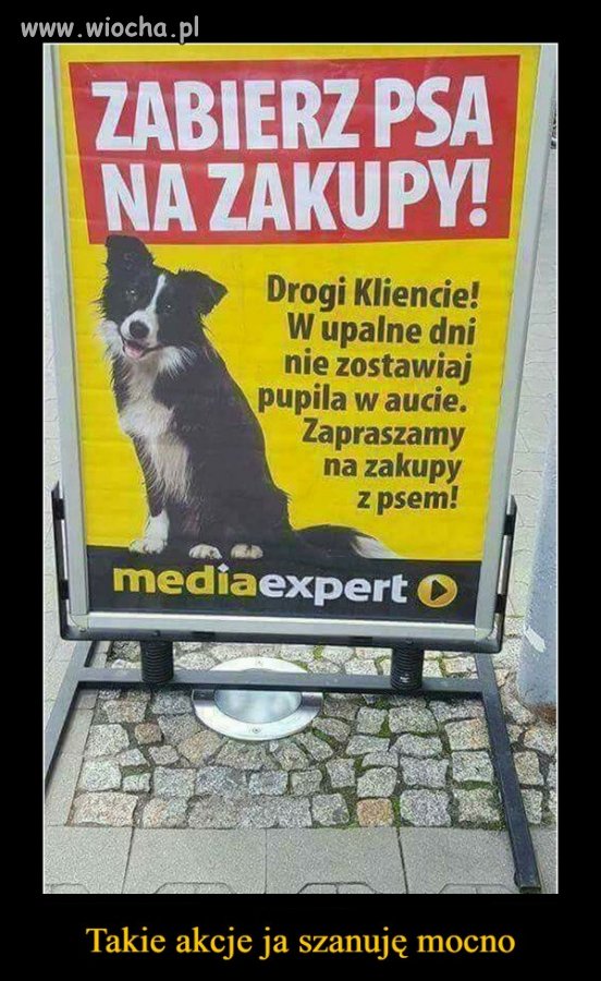 Jak idziesz na miasto w celu zrobienia zakupów 