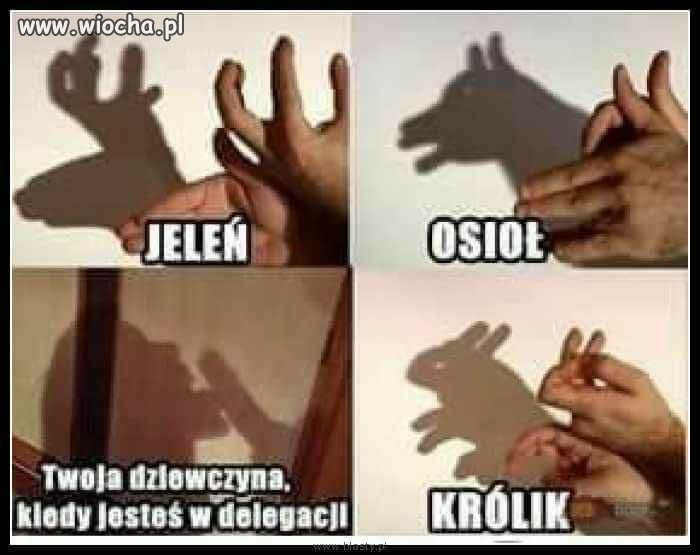 Cienie...