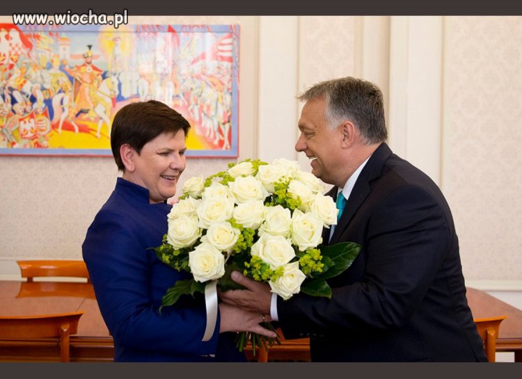 Z pozdrowieniami od Vladimira 