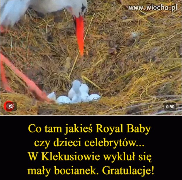 Taka mała aluzja