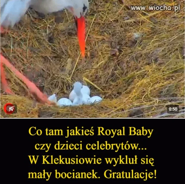 Taka mała aluzja