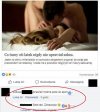Co można uprawiać? ...