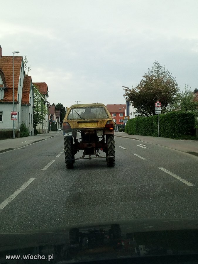 Z drogi śledzie