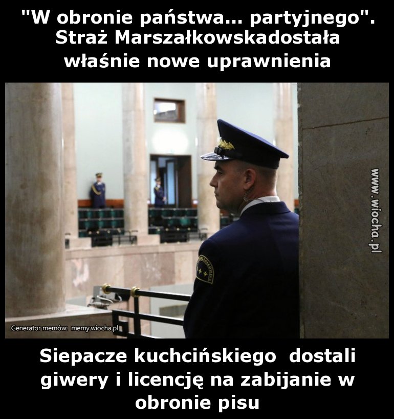 "W obronie państwa... partyjnego". Straż