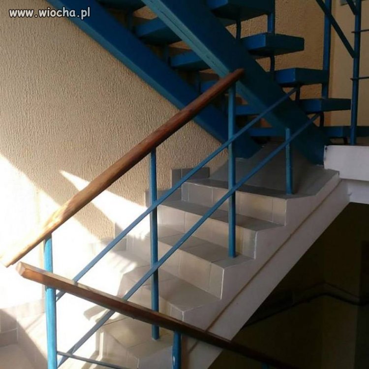Projekt z gatunku