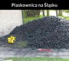 I tak przez całe życie 