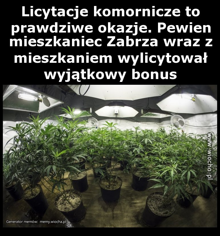Licytacje komornicze to prawdziwe okazje. Pewien