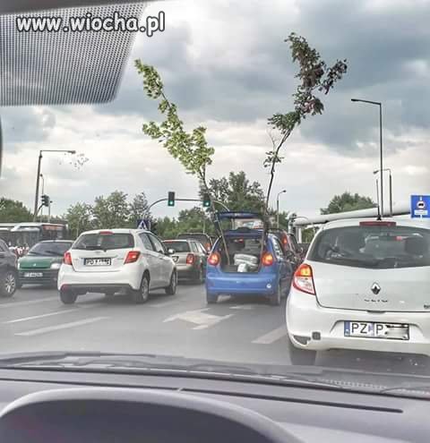 Tymczasem w Poznaniu 