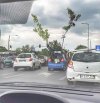 Tymczasem w Poznaniu 